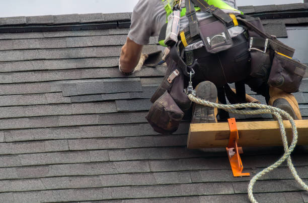 Best Roof Repair Services  in Minier, IL