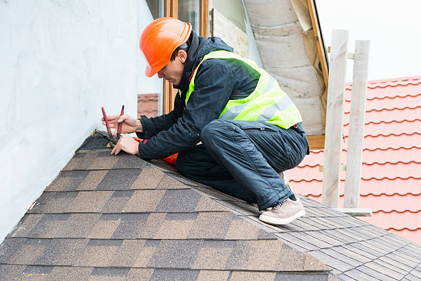 Best Roof Gutter Cleaning  in Minier, IL